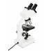 Celestron Labs CB2000CF - Compound Binocular Microscope 