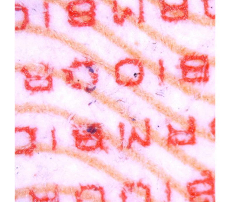   USB Digital Microscope 5MP 