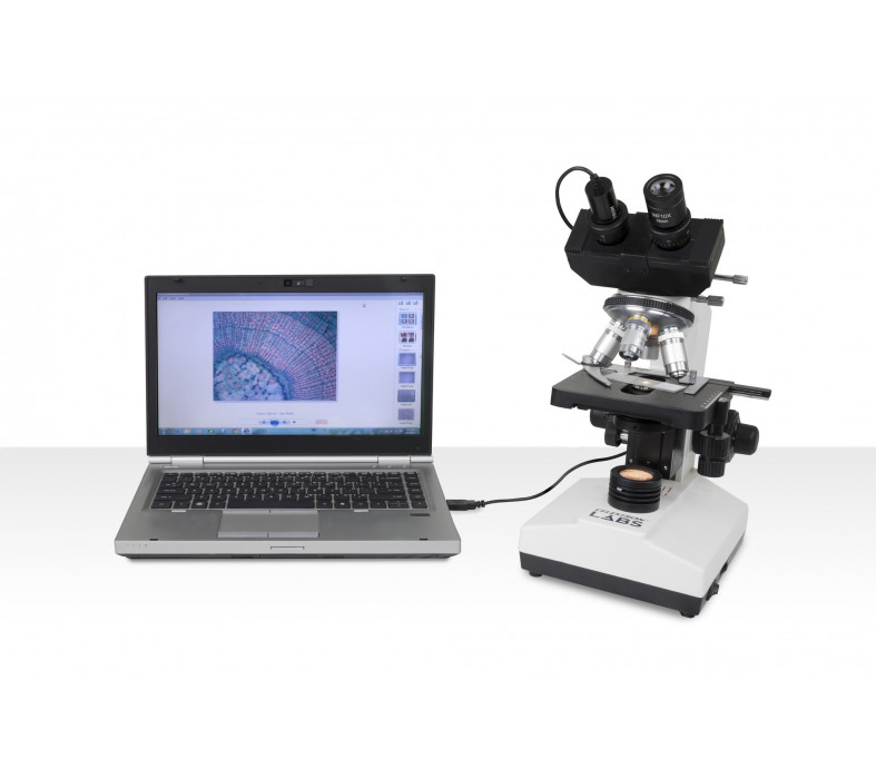  Celestron Labs CB2000CF - Compound Binocular Microscope 
