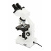  Celestron Labs CB2000CF - Compound Binocular Microscope 