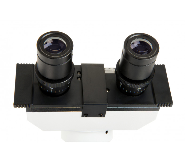  Celestron Labs CB2000CF - Compound Binocular Microscope 