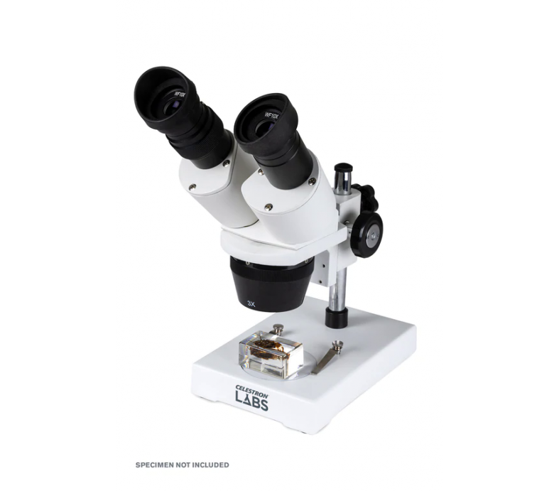 stereo microscope with camera