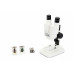  Celestron Labs S20 - Stereo Microscope (Worldwide Model – 5-Language) 
