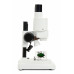  Celestron Labs S20 - Stereo Microscope (Worldwide Model – 5-Language) 