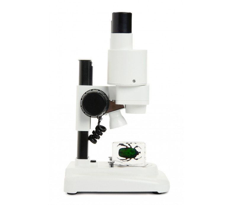  Celestron Labs S20 - Stereo Microscope (Worldwide Model – 5-Language) 