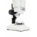  Celestron Labs S20 - Stereo Microscope (Worldwide Model – 5-Language) 