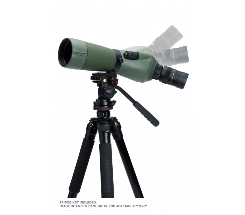  Regal M2 65ED Spotting Scope 