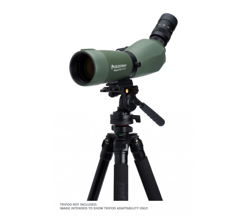  Regal M2 65ED Spotting Scope 