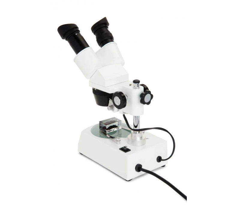 Celestron Labs S10-60 - Stereo Microscope (Worldwide Model – 5-Language) 